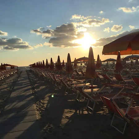 Ninfea Cervia